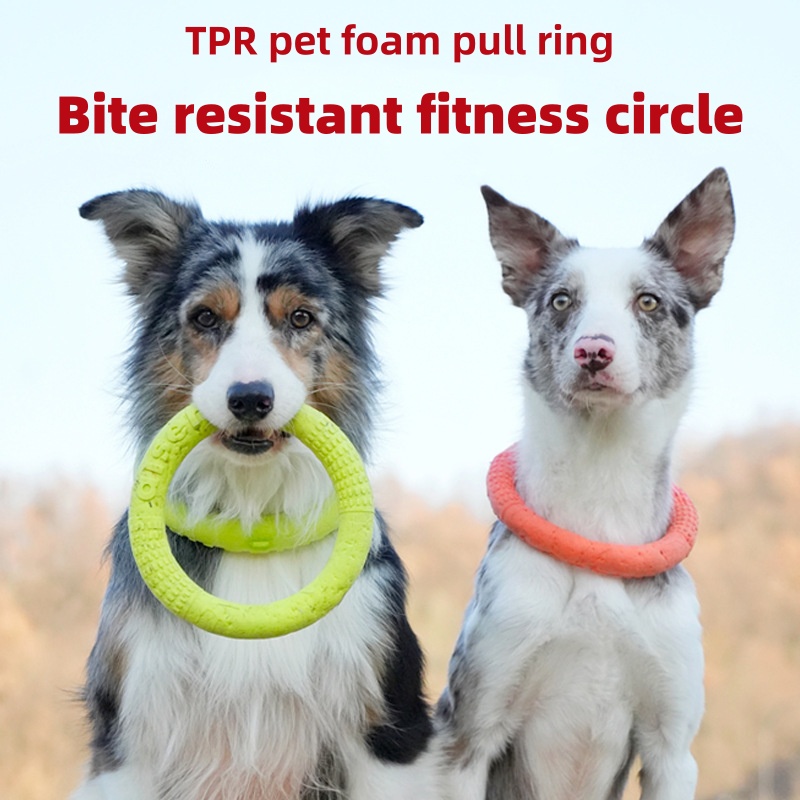 Chew Resistant EVA Dog Flyer W - Gymnastics Rings のレビューと価格