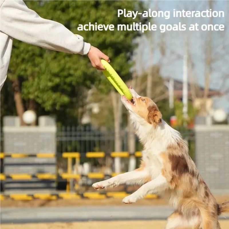 Chew Resistant EVA Dog Flyer W - Gymnastics Rings のレビューと価格