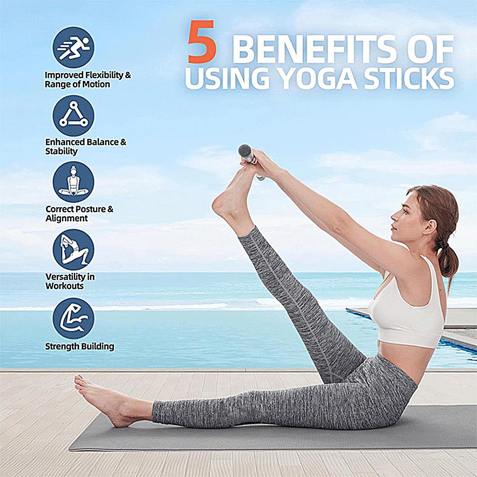 Exercise Pole Multifunctional  - Yoga Fitness Bar のレビューと価格