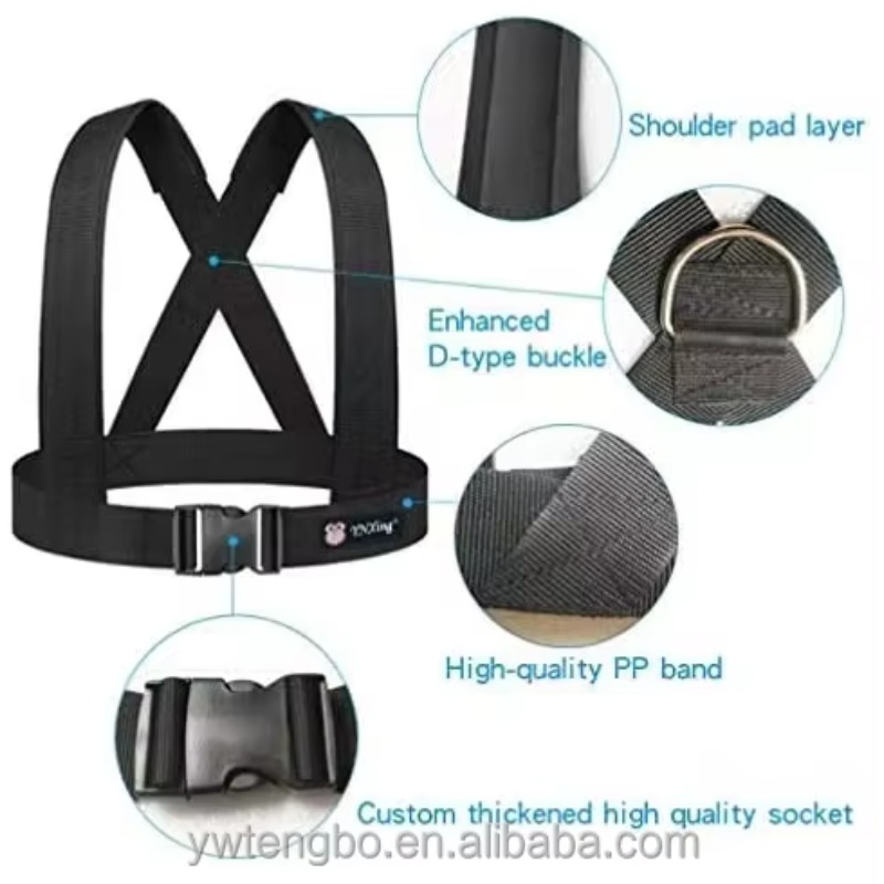 Dual Resistance Latex Pull Rop - Jump Rope のレビューと価格